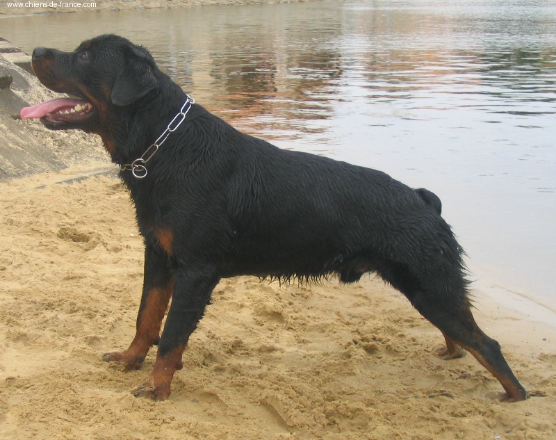 Publication : des déesses éternelles