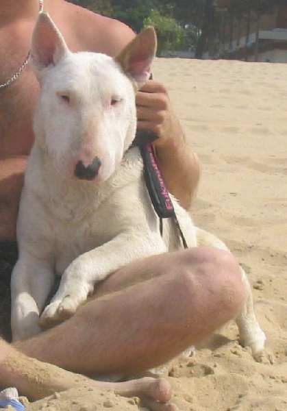 Publication : des déesses éternelles