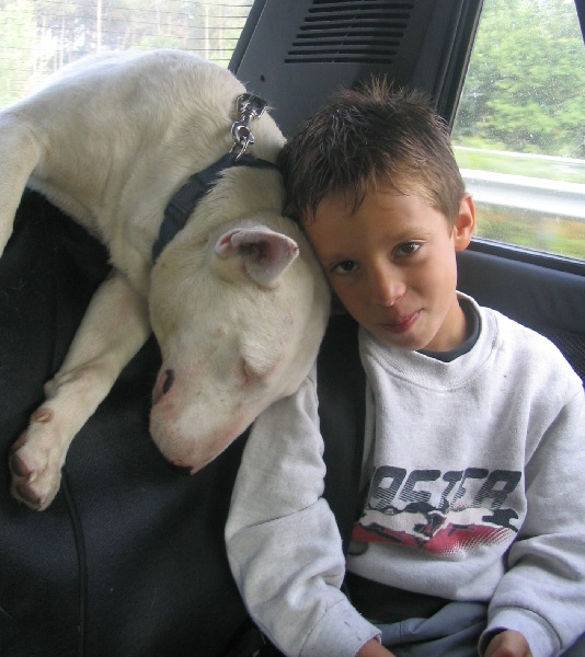 Publication : des déesses éternelles