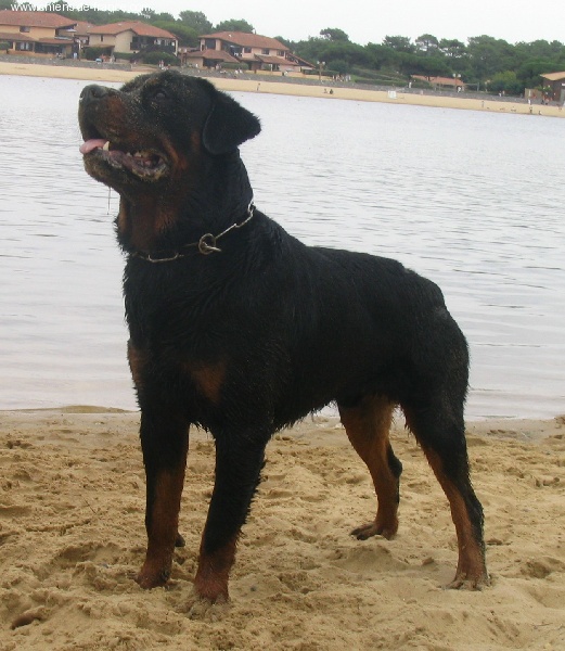 Publication : des déesses éternelles