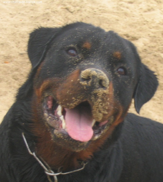 Publication : des déesses éternelles