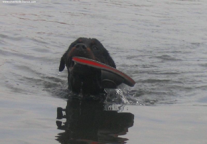 Publication : des déesses éternelles