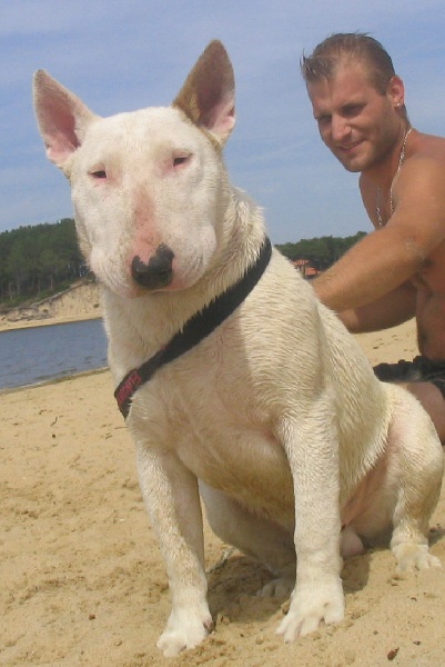 Publication : des déesses éternelles