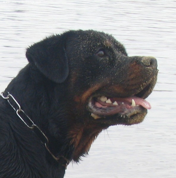 Publication : des déesses éternelles