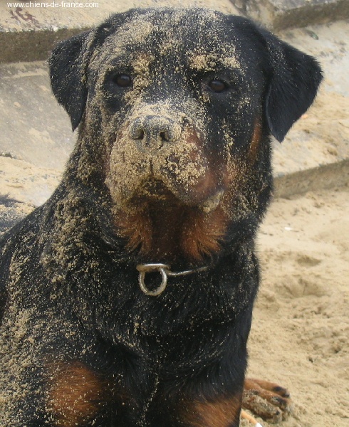 Publication : des déesses éternelles