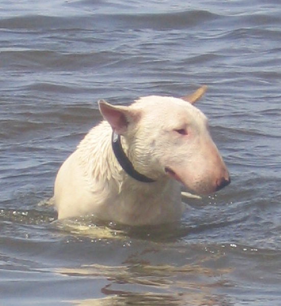 Publication : des déesses éternelles
