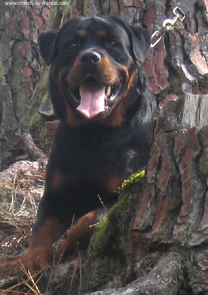 Publication : des déesses éternelles