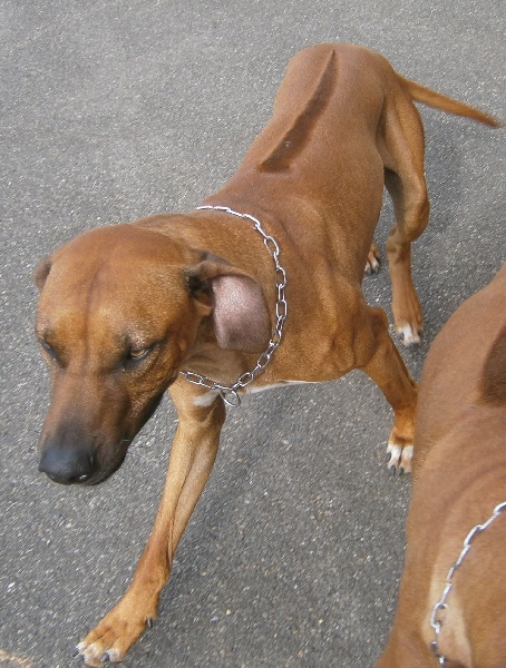 Publication : des sables du Nord