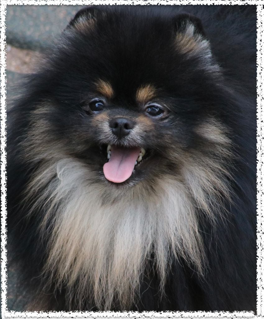 Nano du domaine de la Tournelle