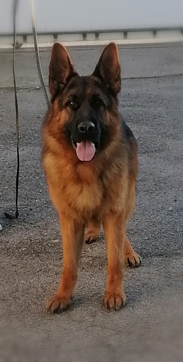 VERRO Du val de la houée