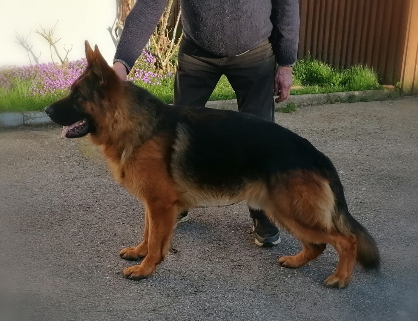 VERRO Du val de la houée