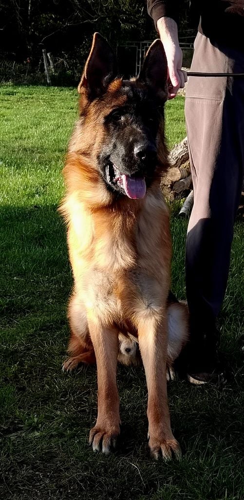 Vino Du val de la houée