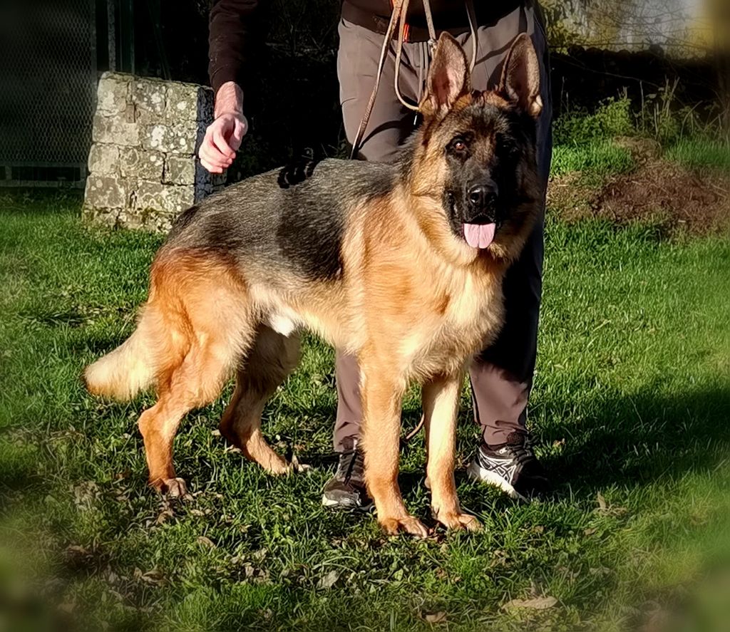 Vino Du val de la houée