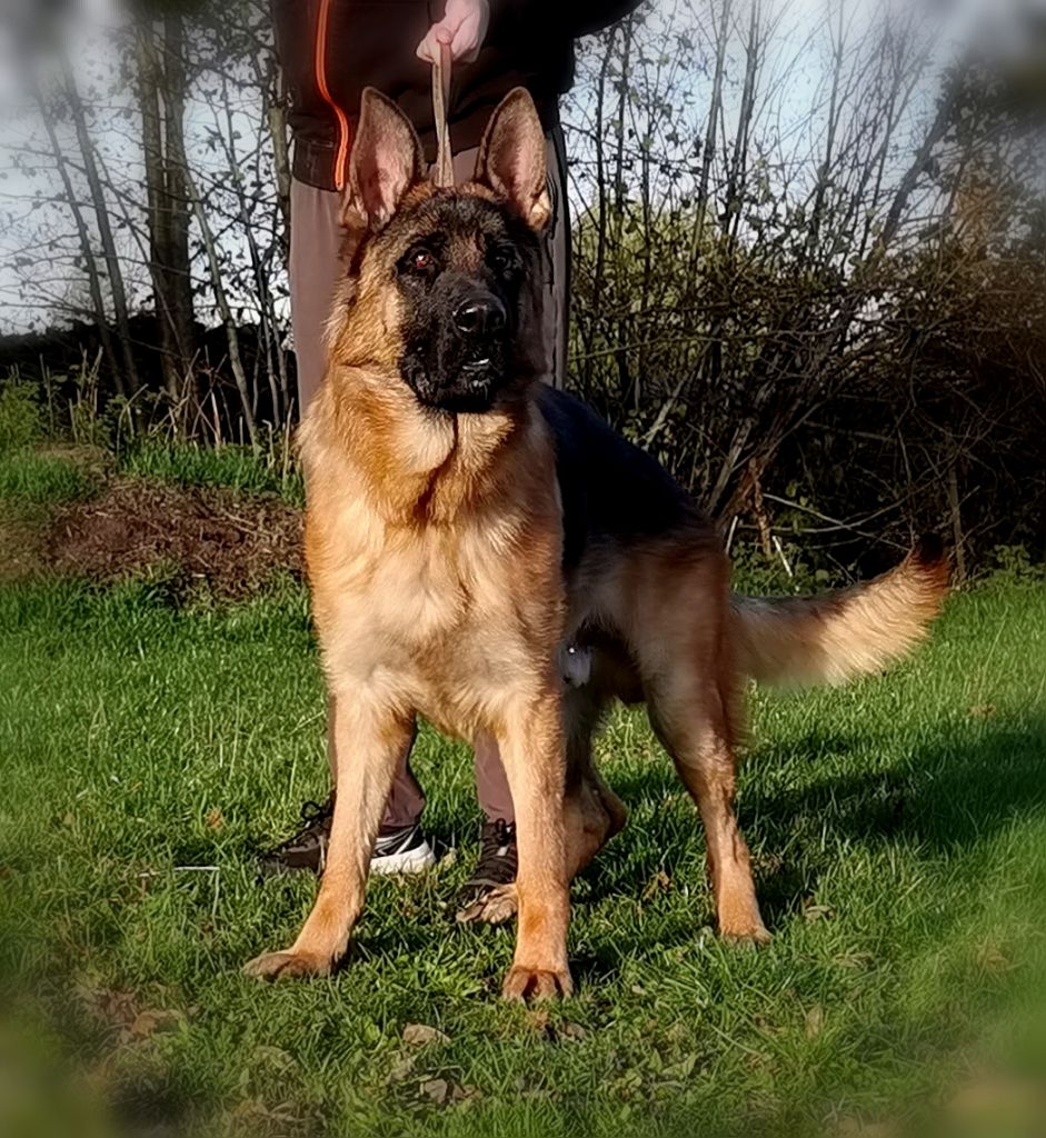 Vino Du val de la houée