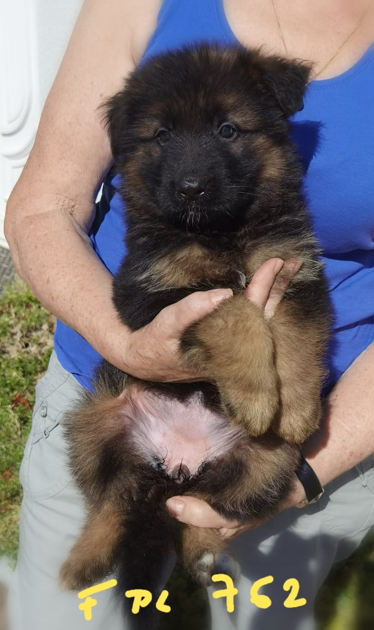 BONNIE