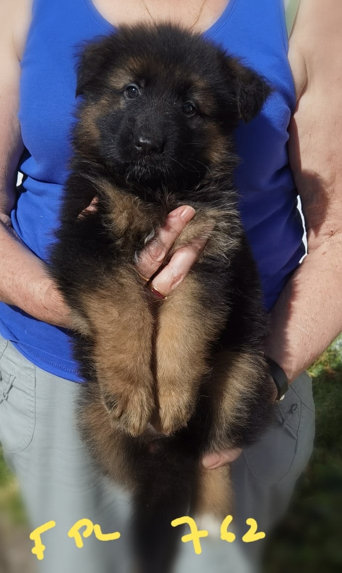 BONNIE