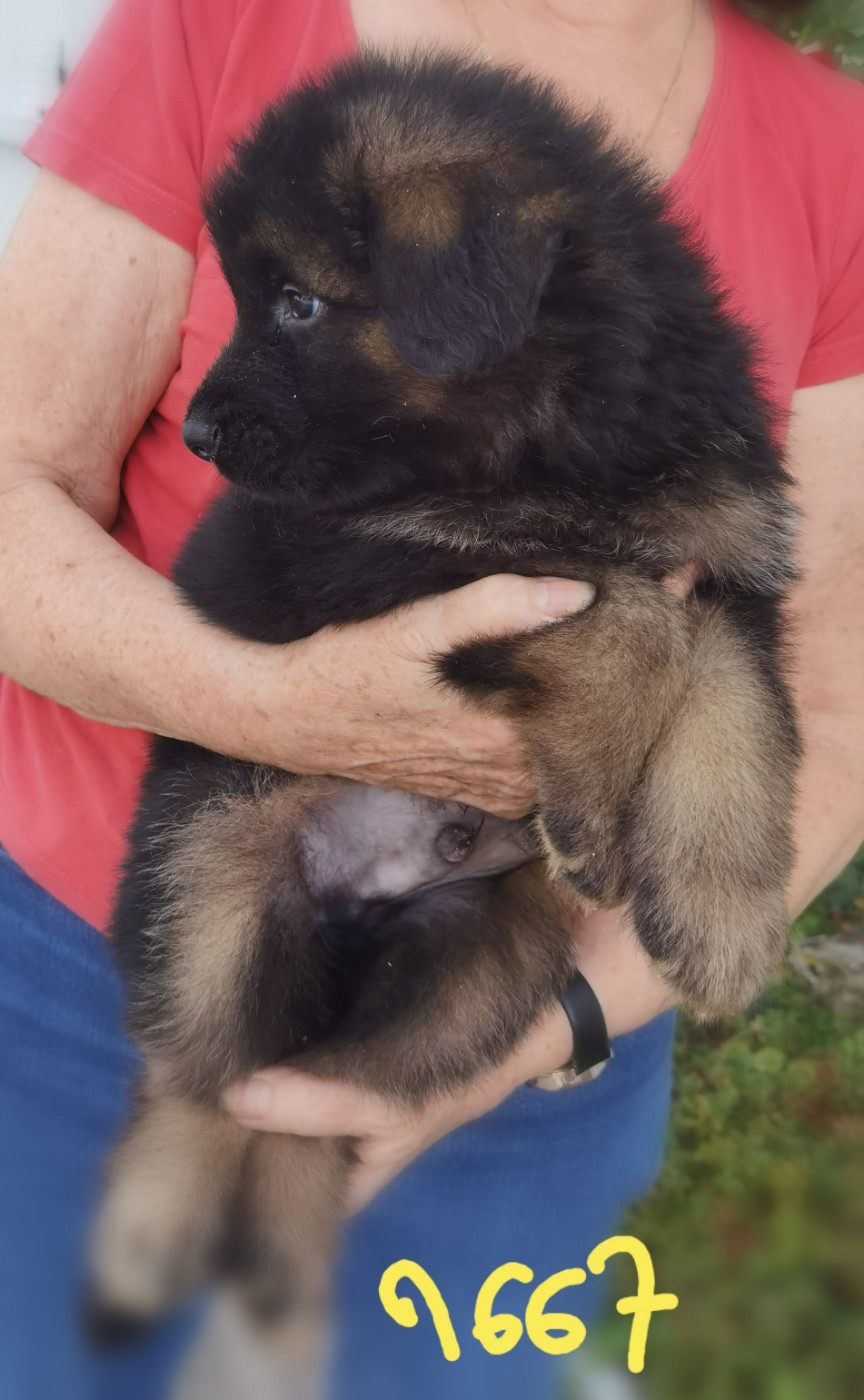 BALCKO
