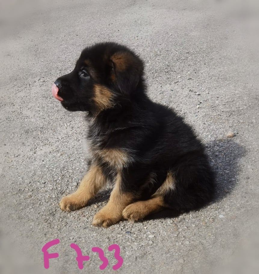 BAYA