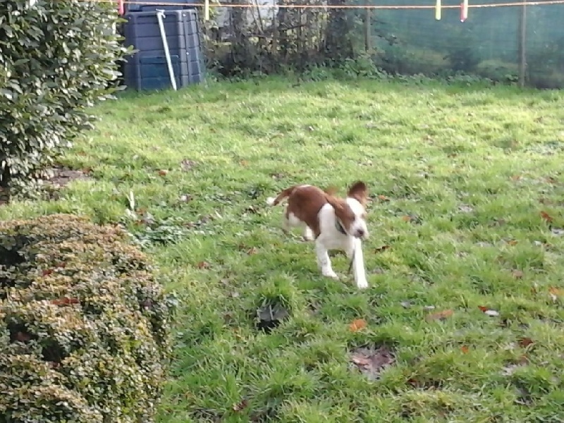 Publication : du chateau du repaire