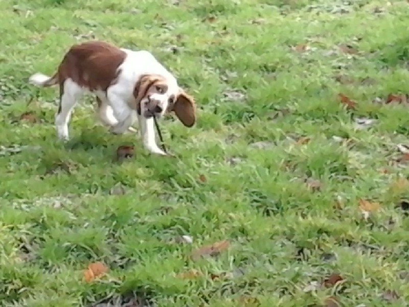 Publication : du chateau du repaire