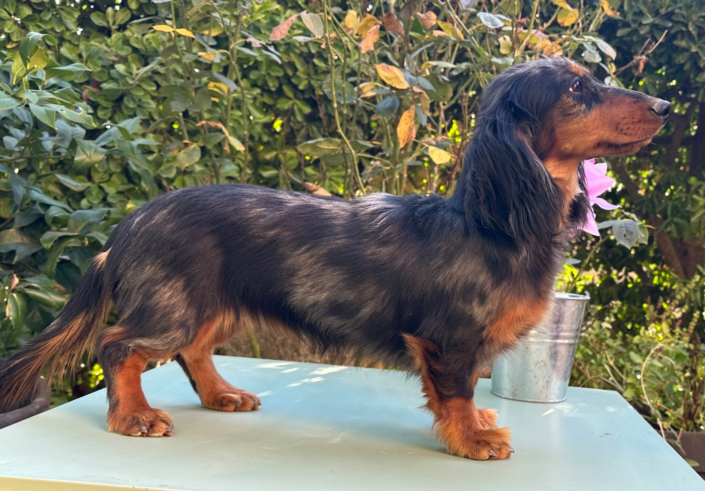 Publication : des guerriers Cathares