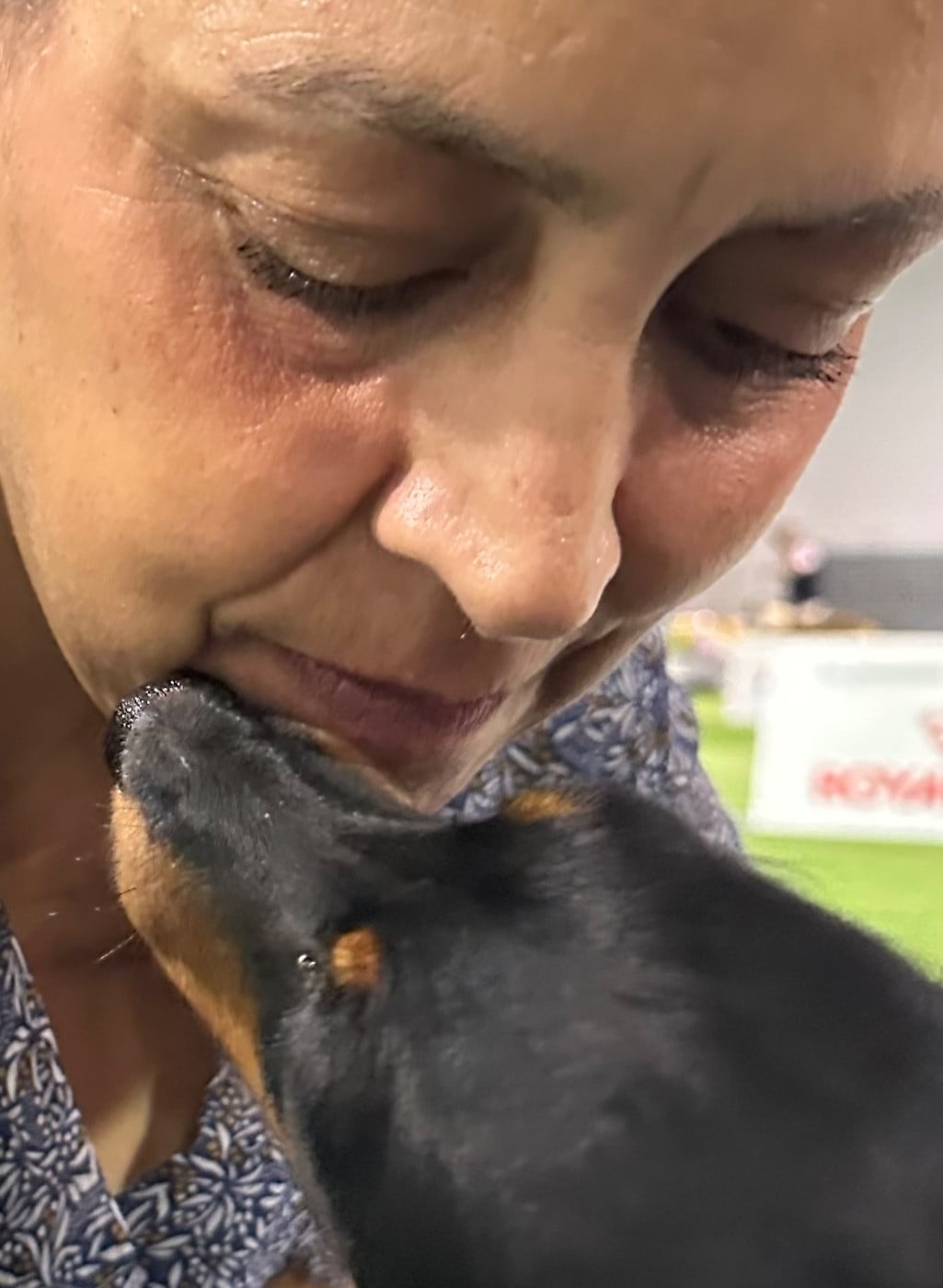 Publication : des guerriers Cathares Auteur : lhomme