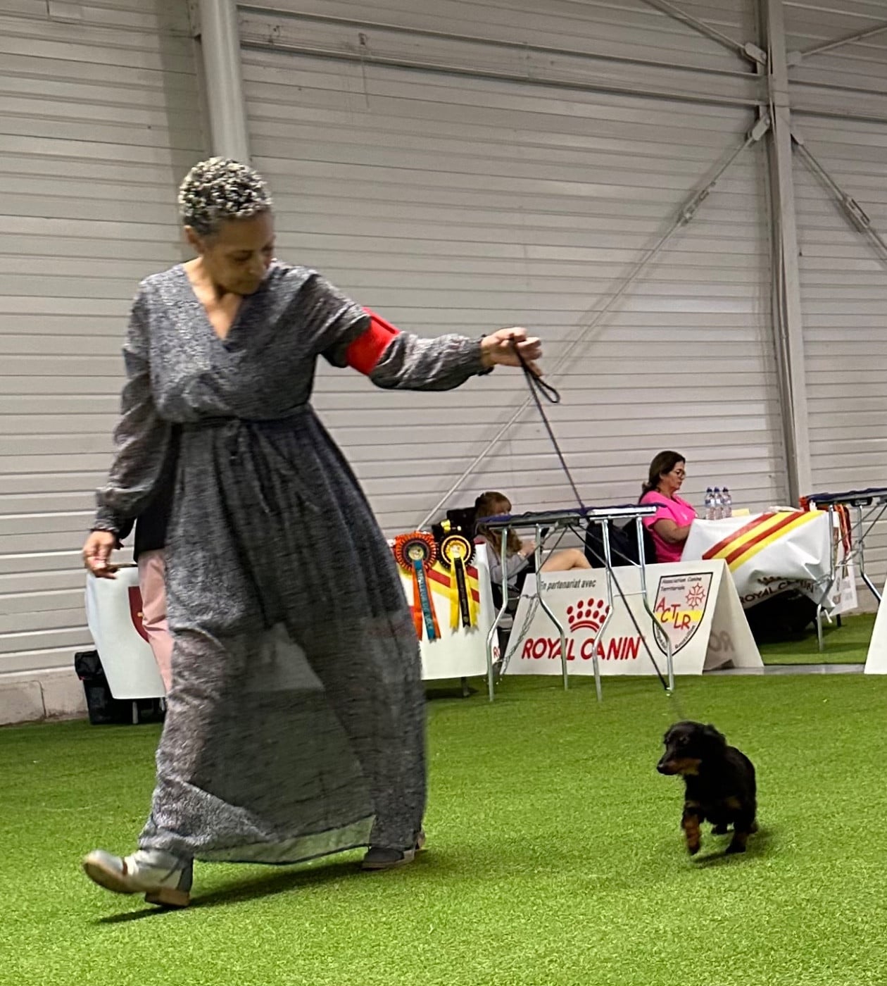 Publication : des guerriers Cathares Auteur : lhomme