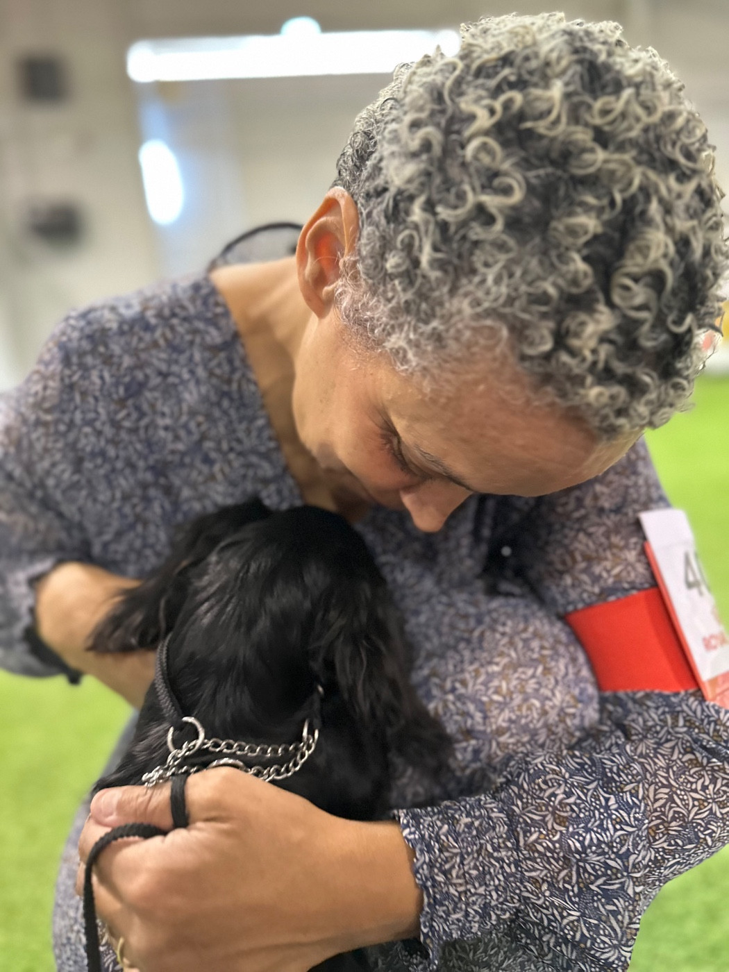 Publication : des guerriers Cathares Auteur : lhomme