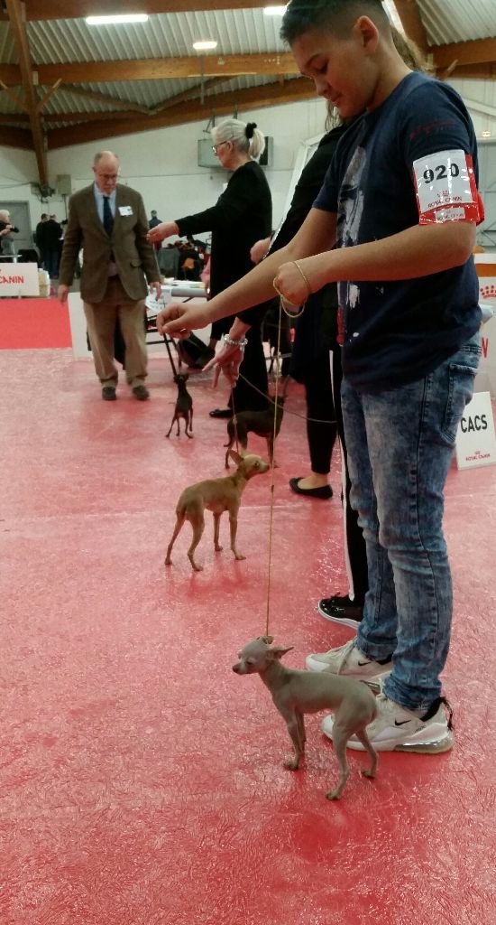 Publication : des guerriers Cathares Auteur : Lhomme