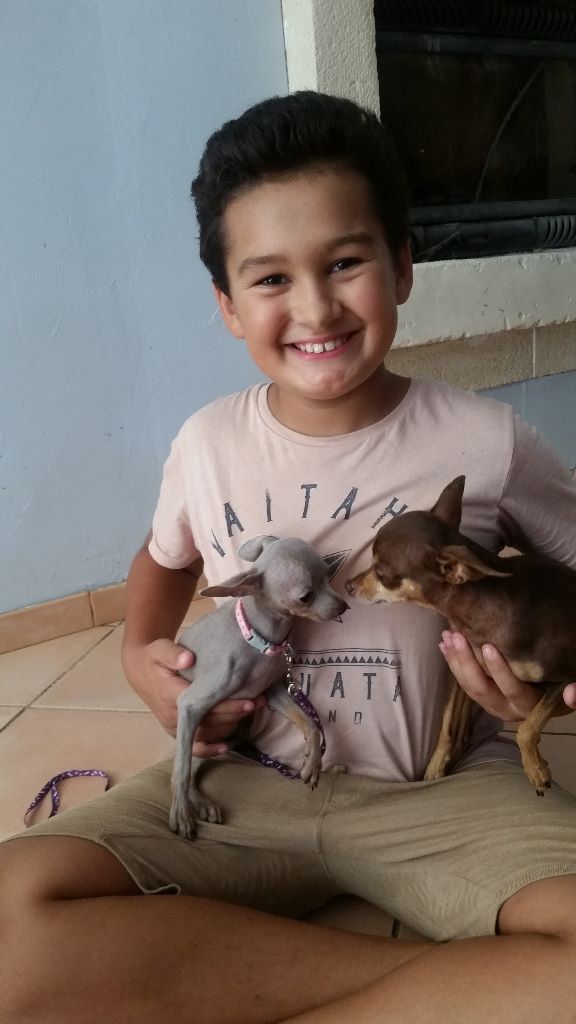 Publication : des guerriers Cathares Auteur : Lhomme