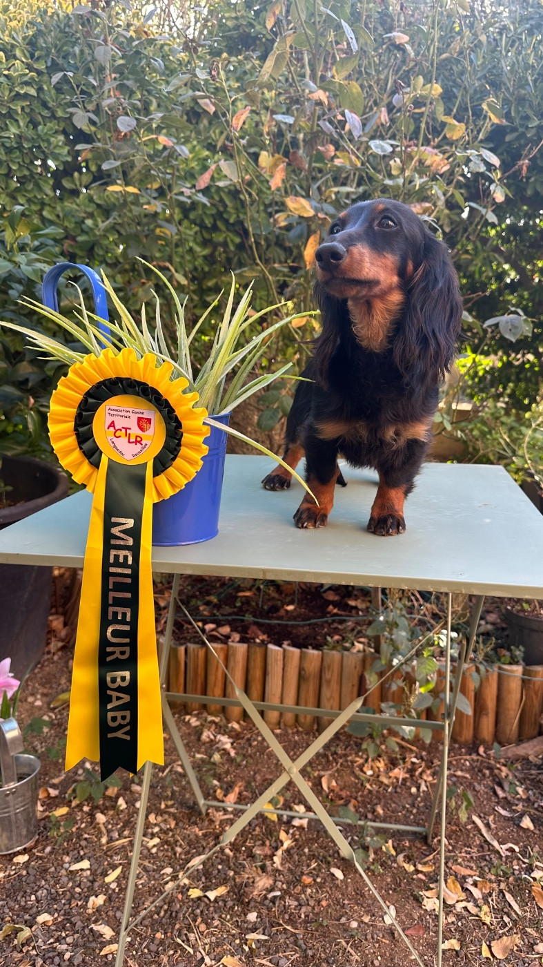 Aktarus Du Royaume De Moska - MEILLEUR BABY - 1er Très Prometteur