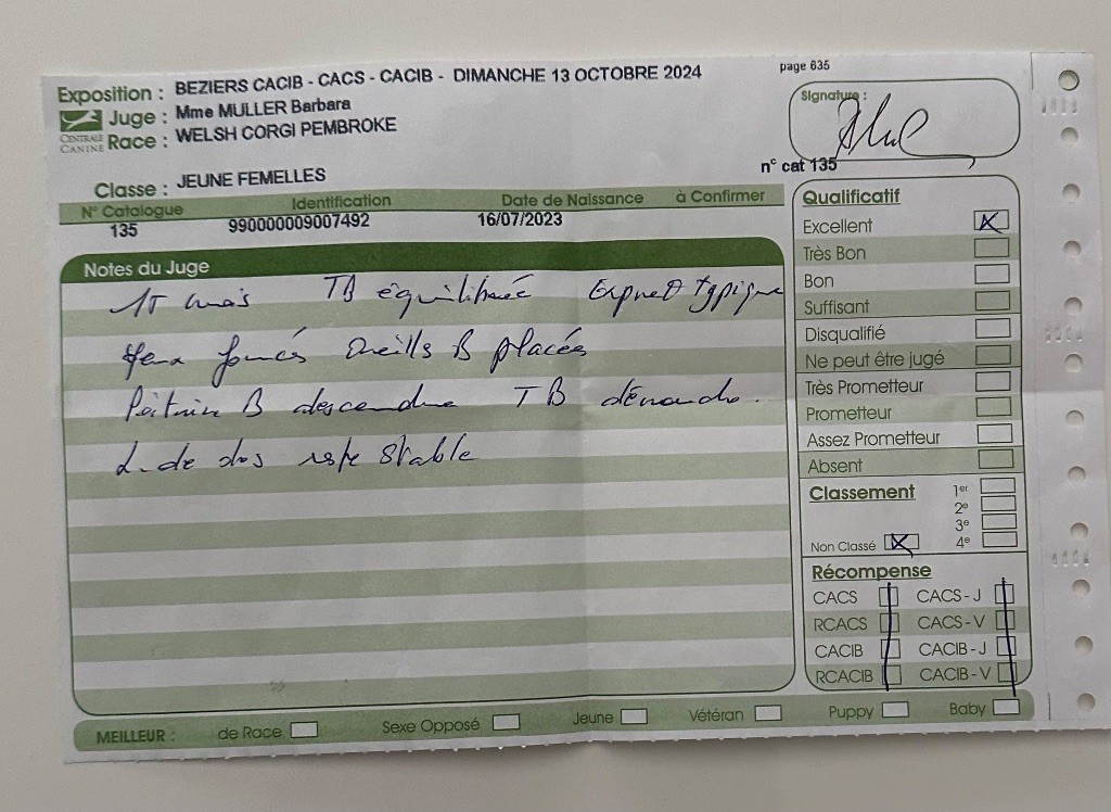 Irelia iz byrshtunovogo - EXCELLENT