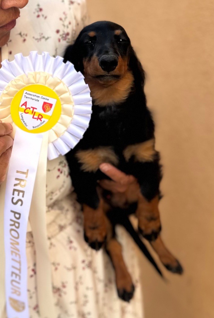 Aktarus Du Royaume De Moska - 1er TRES PROMETTEUR