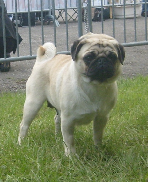 anadyr blues Eivissa - MEILLEUR DU 9ème GROUPE - BOB - CACS