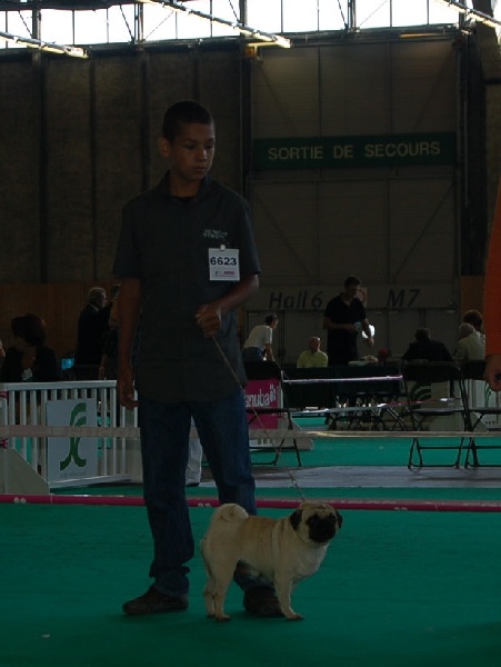 anadyr blues Eivissa - Très bon