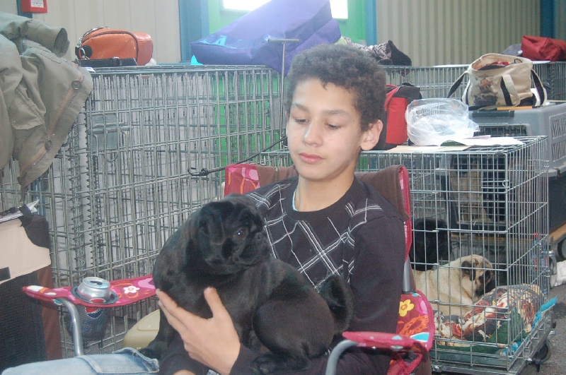 CH. Int. fantagaro des guerriers Cathares - 2ème très prometteur