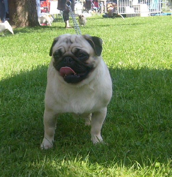 anadyr blues Eivissa - 4ème excellent