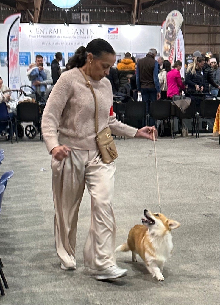 Irelia iz byrshtunovogo - 3ème EXCELLENT - Classe intermédiaire