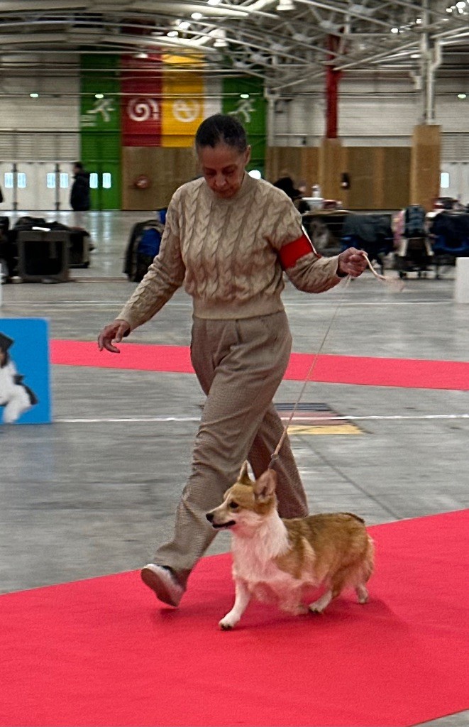 Irelia iz byrshtunovogo - EXCELLENT