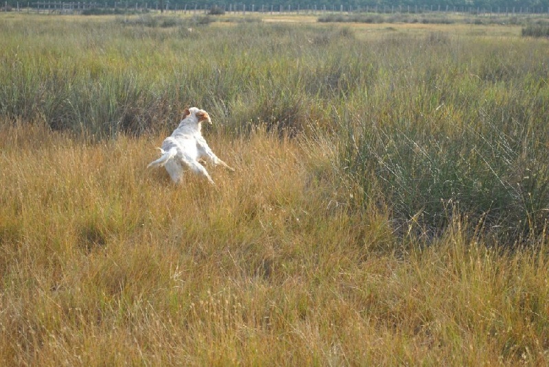 TR. Furie du chemin de la grande draille - 3e EXC