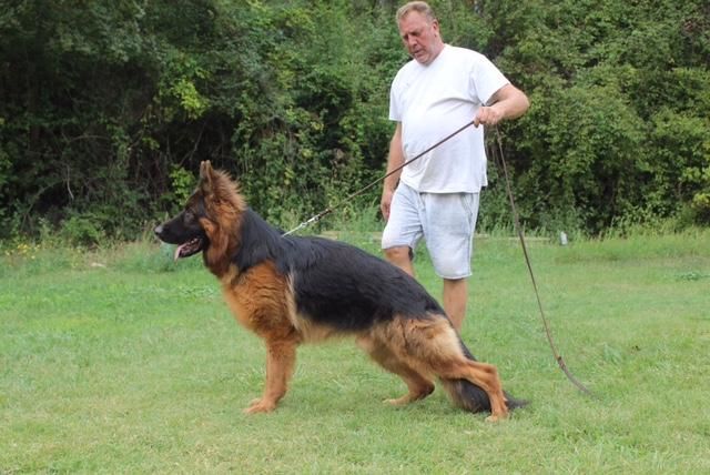 Publication : Du domaine du parc Auteur : Nous