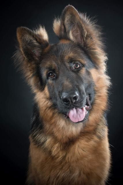 Publication : Du domaine du parc Auteur : Nous