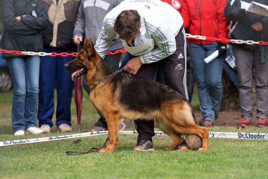 Publication : Du domaine du parc Auteur : Steve gish