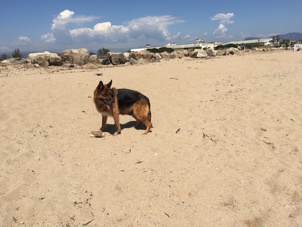 Publication : Du domaine du parc Auteur : nous