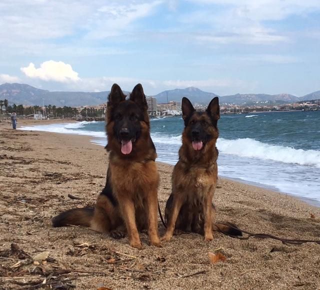 Publication : Du domaine du parc Auteur : Nous