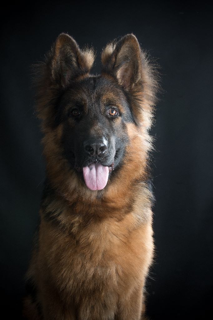 Publication : Du domaine du parc Auteur : Nous