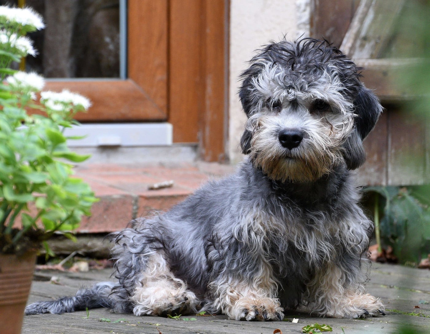 Flick z medunkove strane