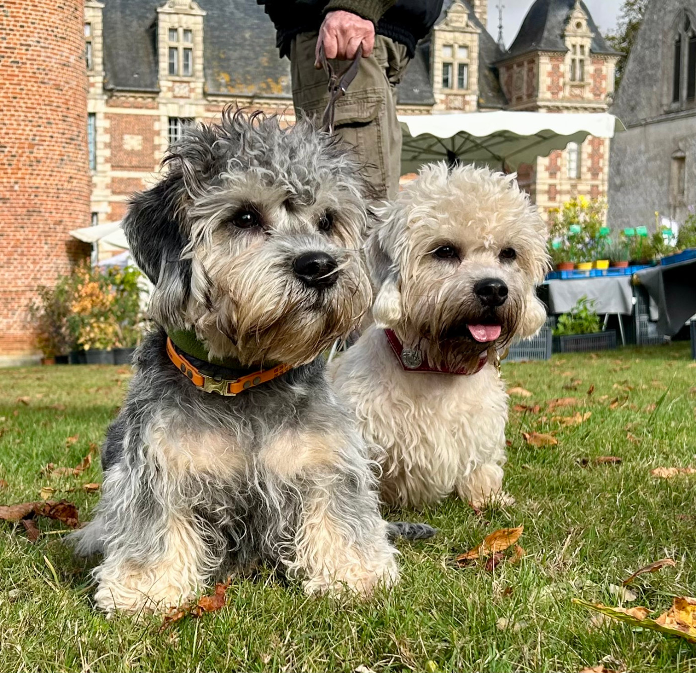 Flick z medunkove strane