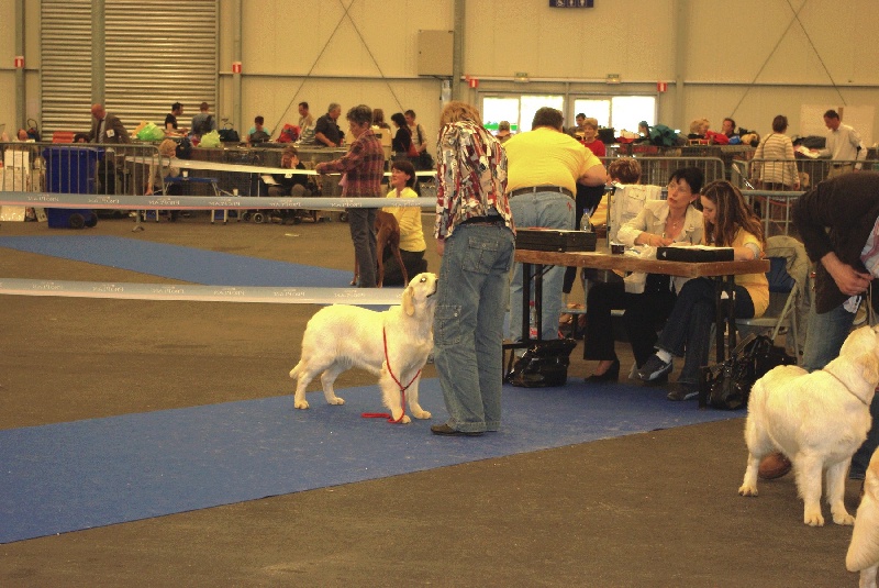 Divine idylle De virlevent - 4ème Excellent