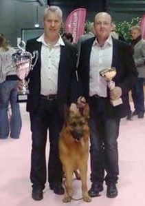 CH. Heross des vergers de la combe - CACS CACIB